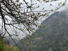 -绩溪龙川景区