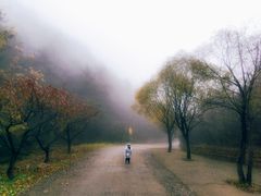 -云峰山自然风景区