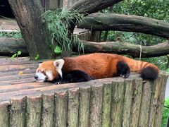 -云南野生动物园