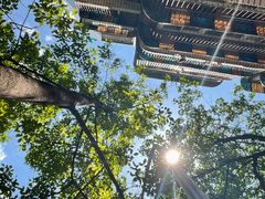 -朱儿面庄(洋河三路店)