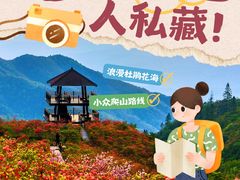 -大围山国家森林公园