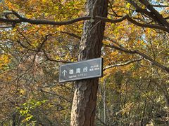 -虞山风景区