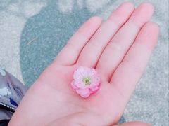 -广富林郊野公园