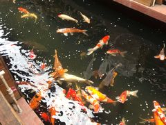-侠成水上农庄(工业大道店)