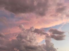 -鑫日千里马朝鲜族小馆(总店)