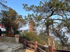-缙云山景区