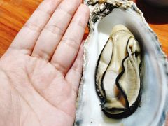 -千岛蚝高压锅生蚝·人参火锅(白云万达店)