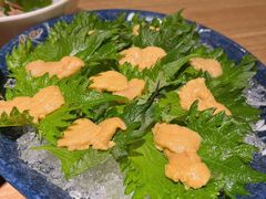 海胆刺身-初花·日本料理