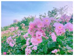 -南京眼步行桥