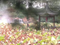 -合肥滨湖国家森林公园