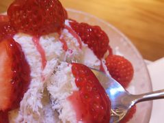 -ICEPOPO MILK(玉兰店)