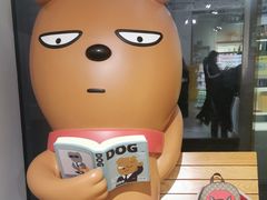 -KAKAO FRIENDS(弘大店)