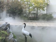 -广富林宰相府酒店·水云间