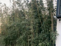 -食悦江南·淮扬菜·烤鸭(亚运村·惠新店)