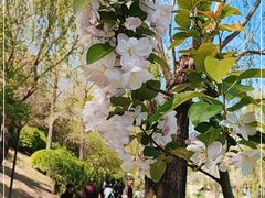 -元大都城垣遗址公园