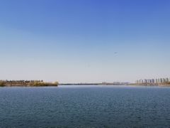 -丁香湖公园