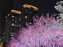 -西北湖绿化广场