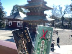 -成田山新胜寺