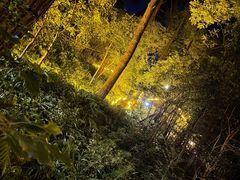 -生态园山庄(森林公园店)