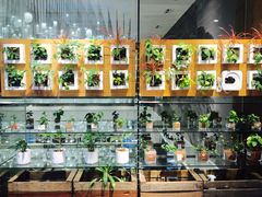 -无印良品餐堂 MUJI Diner(成都太古里店)