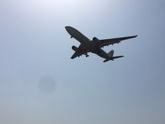 -空港花田景区