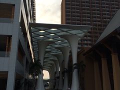 -三亚湾红树林度假世界(木棉酒店)