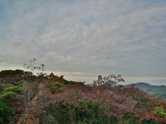 -天鹿湖森林公园