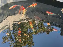 -西安市广仁寺