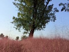 -汉长安城未央宫国家考古遗址公园