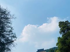 -清真·金宏兴鸭子店(明瓦廊店)
