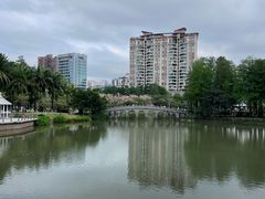 -四海公园(南山区)