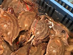 -青岛蓝海御华大饭店（金沙滩店）·蓝钻国际美食自助百汇