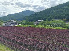 -三千院