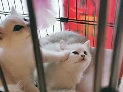 -木沐影咖(鑫乐汇购物广场店)