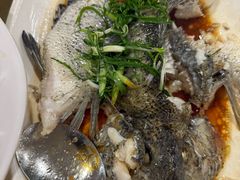 -大湾区鑫南酒家·粤菜(黄岐店)