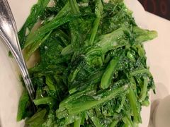 -滋味成都