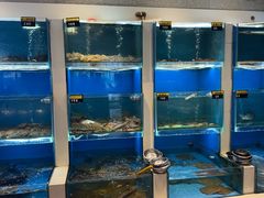 -赶海部落海鲜城(海阳路店)