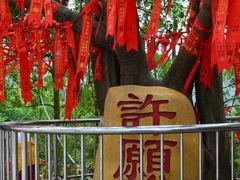 -东莞观音山旅游风景区