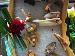 菌菇六拼-滇釜火锅·能喝汤的火锅(车公庄店)