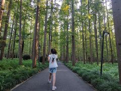 -上海怡沁园度假酒店