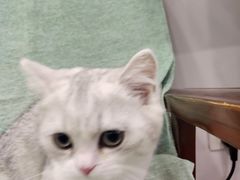 -佳雯宠物医院·皮肤科·内外科(春晓路分院)