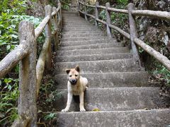 -广东大峡谷