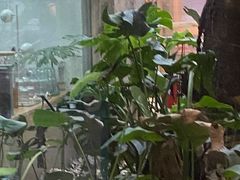 -Nirvana Cafe&Bar(北仓文创街区店)