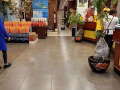 -志晖园圆子鸡·辣子鸡(阳光店)