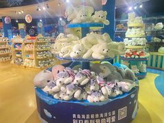 -海合安青岛极地海洋公园
