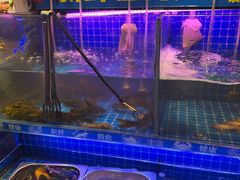 -银鲨海鲜烤肉火锅自助餐厅(五星店)