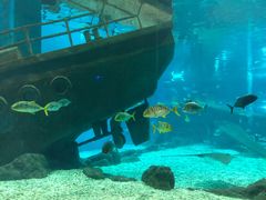 -福州罗源湾海洋世界旅游区