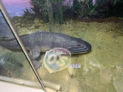 -国家自然博物馆