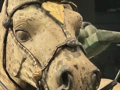-秦始皇帝陵博物院-丽山园