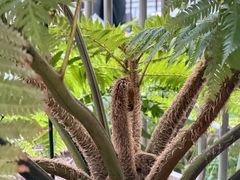 -陕西自然博物馆